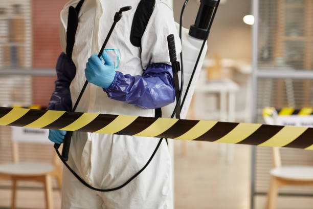 Professional Sewage Cleanup technician working in Woodland, CA
